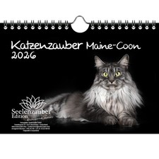 Katzenzauber Maine-Coon DIN A5