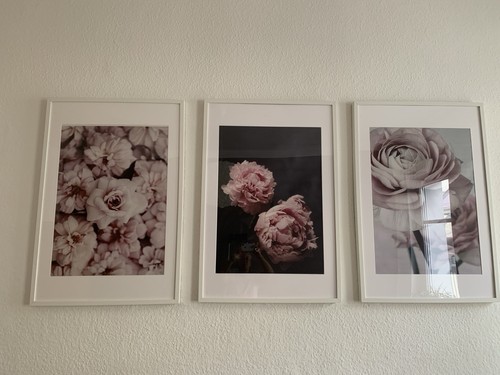 Wandbilder auf leinwand bild - wandbilder,
