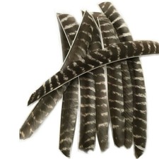 Bogenschießen Naturfedern