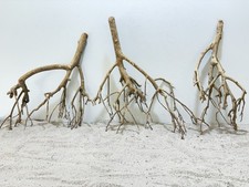 Tea Branch Talawa XL