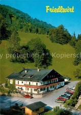 Unken friedlwirt - unken,