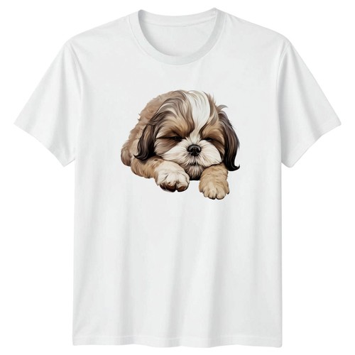 This sleeping shih - my,