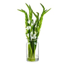 Große glasvase hoch cm - glasvase,