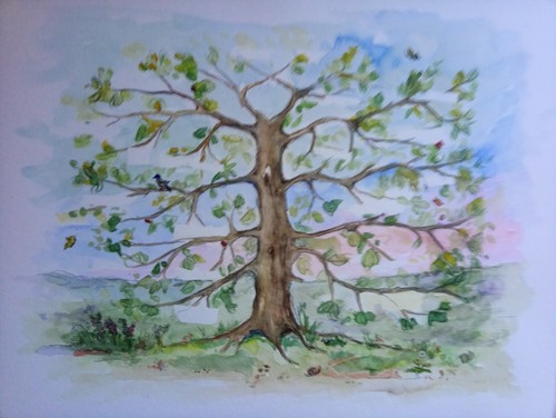 Aquarell geschenk zur - aquarell,geschenk,