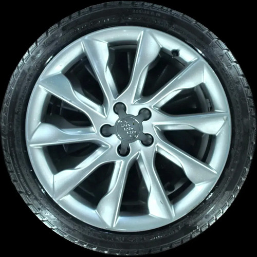 255 r19 96v winterreifen - r19,
