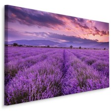 Leinwand Bild CANVAS WANDBILD