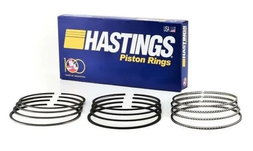 Kolbenringsatz hastings für - hastings,