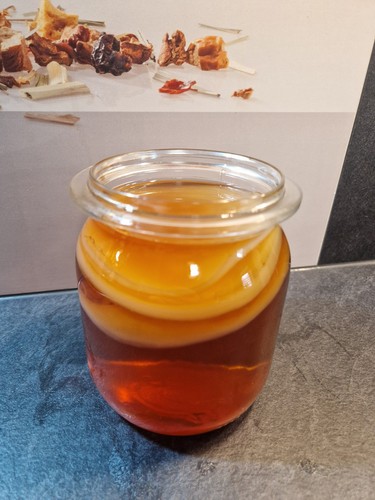 Kombucha pilz scoby - kombucha, pilz,