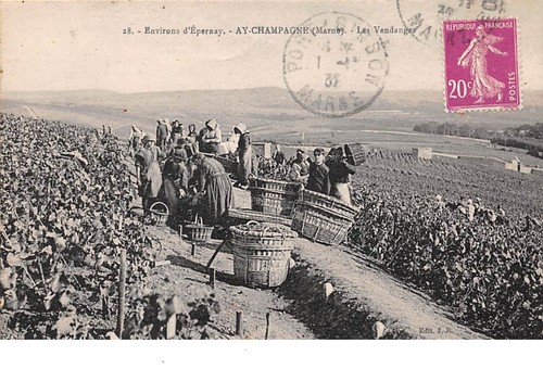 205573 ay champagne - nr., 205573.