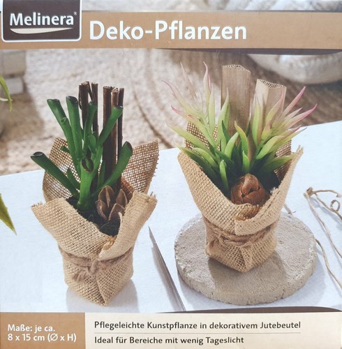 Melinera deko pflanzen - melinera,