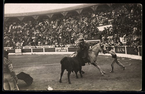 Torero pferde beim - zu,