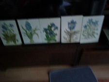 Gemalte Blumenbilder mit