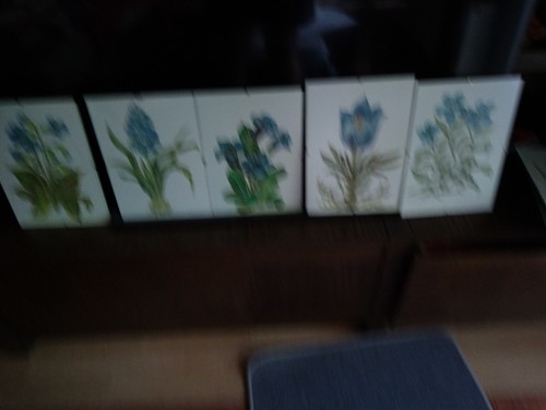 Gemalte blumenbilder mit - gemalte,