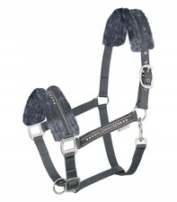 Kandar Elegant mit Fell Pony