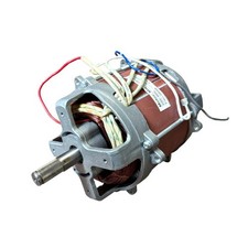 Ersatzmotor Elektromotor 230V