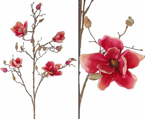 Deko zweig magnolien - deko, 4