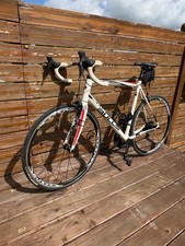 Rennrad Bulls Desert Falcen 2