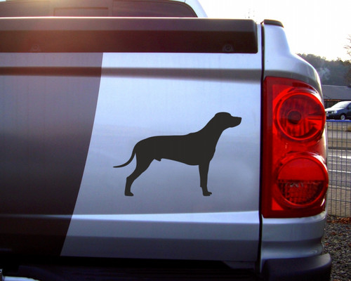 Samunshi rhodesian ridgeback - rhodesian,