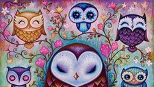Bunte Eulen Diamond Painting