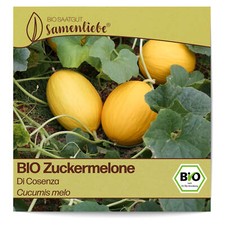 BIO Zuckermelonen Samen Sorte