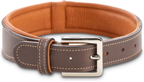 Jack russell hundehalsband - &,