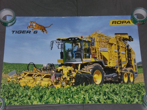 Ropa tiger - ropa,
