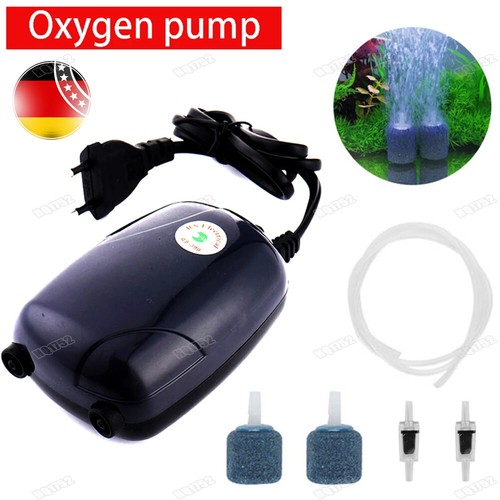 Aquariumpumpe fische tank - fische,
