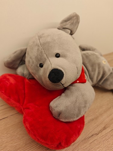 Sunkid plüschhund liegend mit - plüschhund,