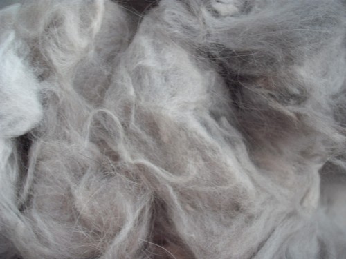 Angora rohwolle biowolle - angora,