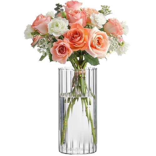 Glasvase zylinder transparent - glasvase,