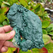 ?Video?Top XL Kabinettstufe Malachit 17x11x6cm Star of Kongo Mine D.R. Kongo