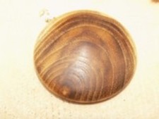 Anhänger Kette Akazie