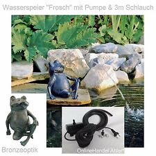 Teich Pumpe Wasserspeier