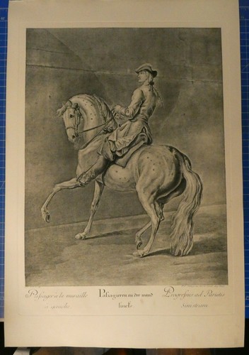 Riedinger die grosse - die,
