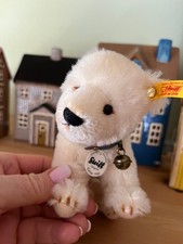 Steiff Eisbär, neuwertig mit