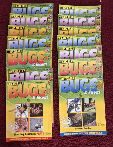 Real life bugs - life,