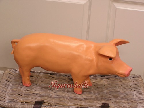 Schwein sau ferkel bauernhof - schwein,