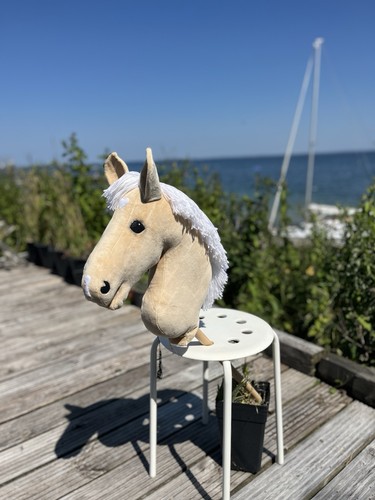 Hobbyhorse hobby horse - /, /