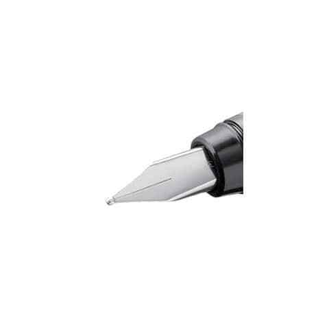 Pelikan pelikano ersatz - pelikan,