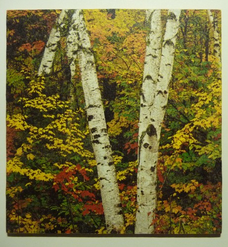 Deko hdf herbst natur - hdf,