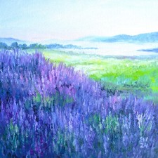 Lavendelfeld Landschaft