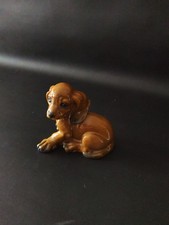 Rosenthal Classic Rose  Porzellan Figur Figurine Dackel Handgemalt Hund Sammler