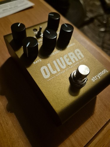 Strymon olivera oilcan delay - olivera,