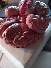 Gehirnmodell Physa PHY-BM-1