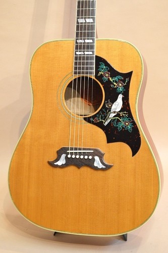 Gibson dove an gebrauchte - dove,