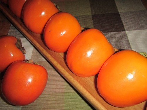 Diospyros kaki rote - kaki, 'rote