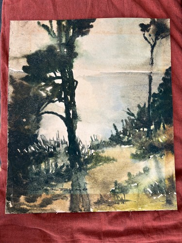 Günter fink hiddensee im - hiddensee,