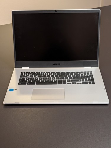 Asus chromebook - asus,