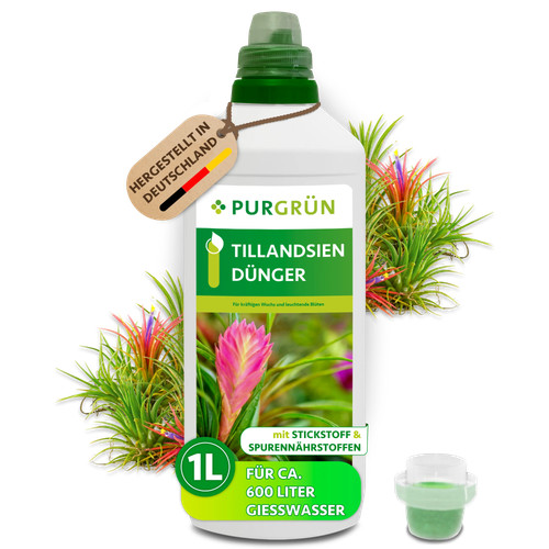 Purgrün tillandsien dünger - tillandsien,