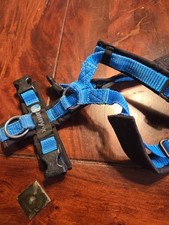 Anny X Hundegeschirr